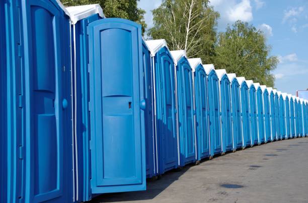 Best Affordable portable toilet rental  in Christopher, IL